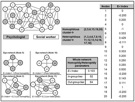 homophily pronunciation|which example best exemplifies homophily.